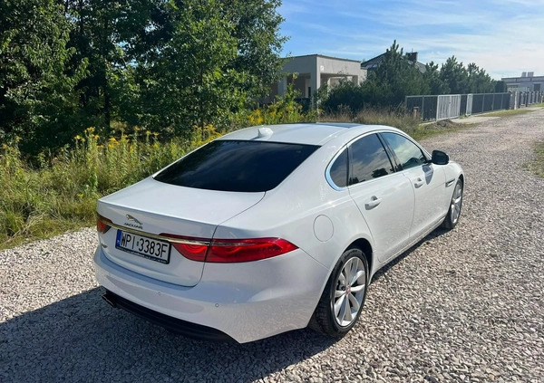 Jaguar XF cena 77000 przebieg: 132000, rok produkcji 2017 z Chocianów małe 37